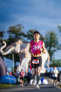 BIB: 
                            <button type="button" onclick="openModal(26541424)" class="btn btn-primary btn-sm float-right btn-popup" data-toggle="modal" data-target=".modal-high-quality">
                        <i class="fas fa-shopping-cart"></i> Add to Cart
                    </button>
                                            <button type="button" onclick="isThisMe(26541424, true)" class="btn btn-success btn-sm float-right btn-popup btn-isme hidden" data-toggle="tooltip" data-placement="bottom" title="นี่คือรูปของคุณใช่ไหม คลิกที่นี่เพื่อเอาเข้าอัลบั้ม">
                        <i class="fas fa-plus"></i> Add to album
                    </button>
                    <button type="button" onclick="isThisMe(26541424, false)" class="btn btn-warning btn-sm float-right btn-popup btn-isnotme hidden">
                        <i class="fas fa-ban"></i> Remove from album
                    </button>